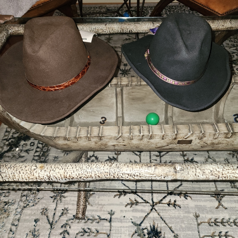 Elegant Brown and Black Cowboy Hats